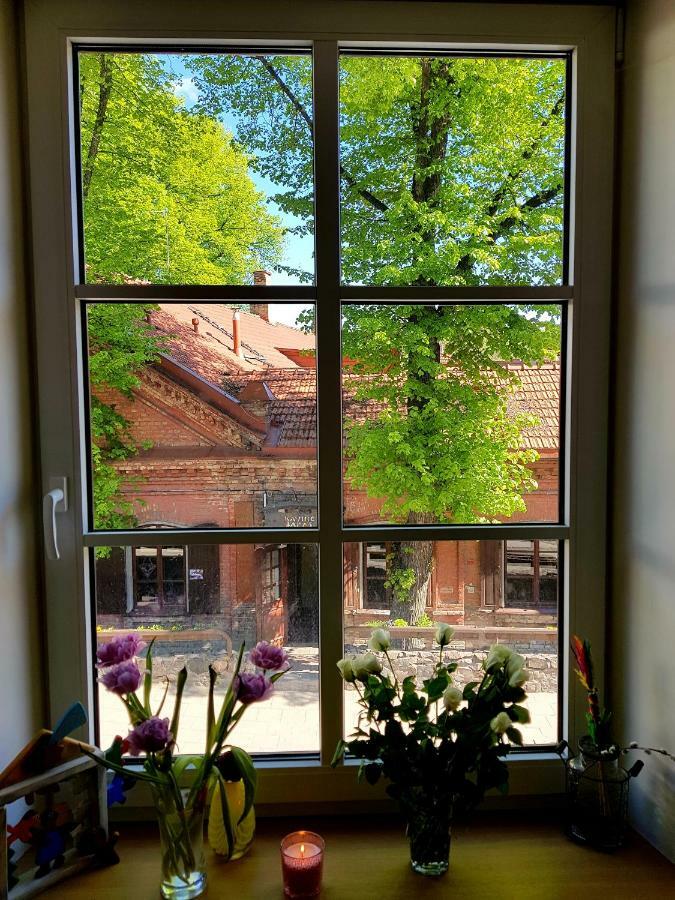 Exceptional Uzupis Bridge 3 Bedroom Apartment VNO Eksteriør bilde