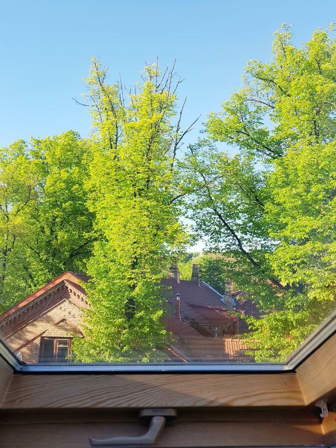 Exceptional Uzupis Bridge 3 Bedroom Apartment VNO Eksteriør bilde